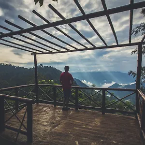 After The Rains - Rainforest India